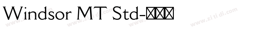 Windsor MT Std字体转换